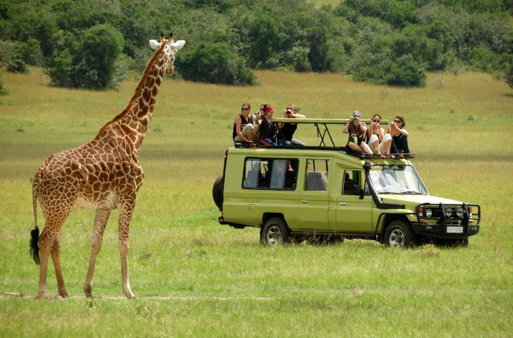 2 DAYS TANZANIA SAFARI