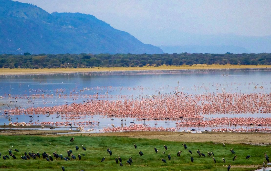 lake manyara