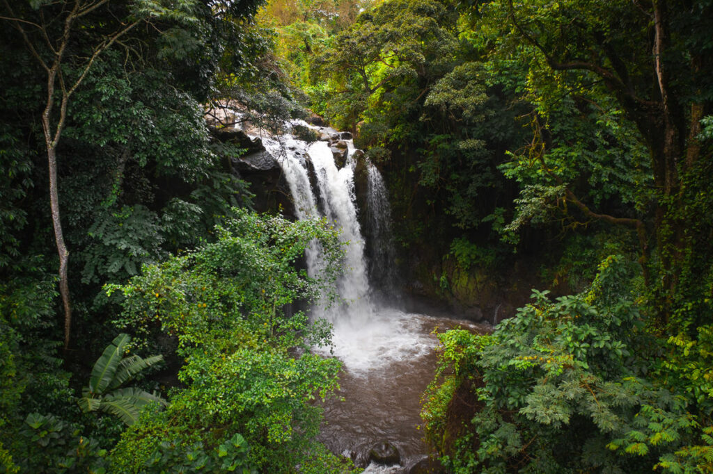 Marangu waterfalls