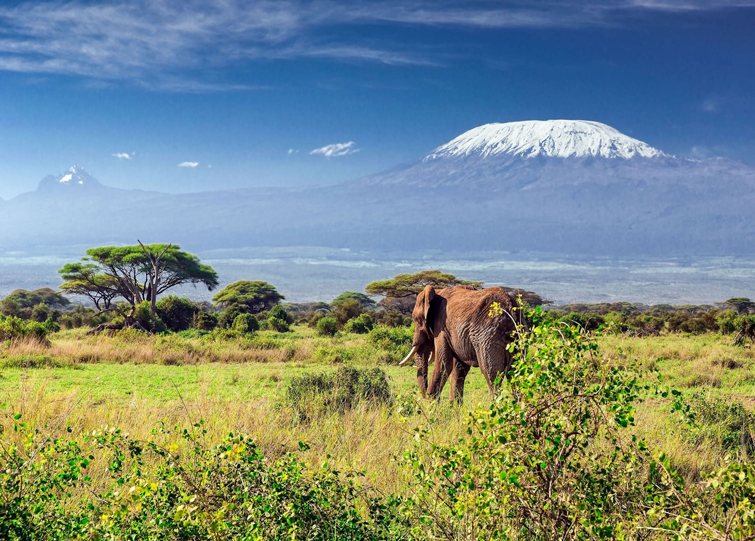 kilimanjaro mountain