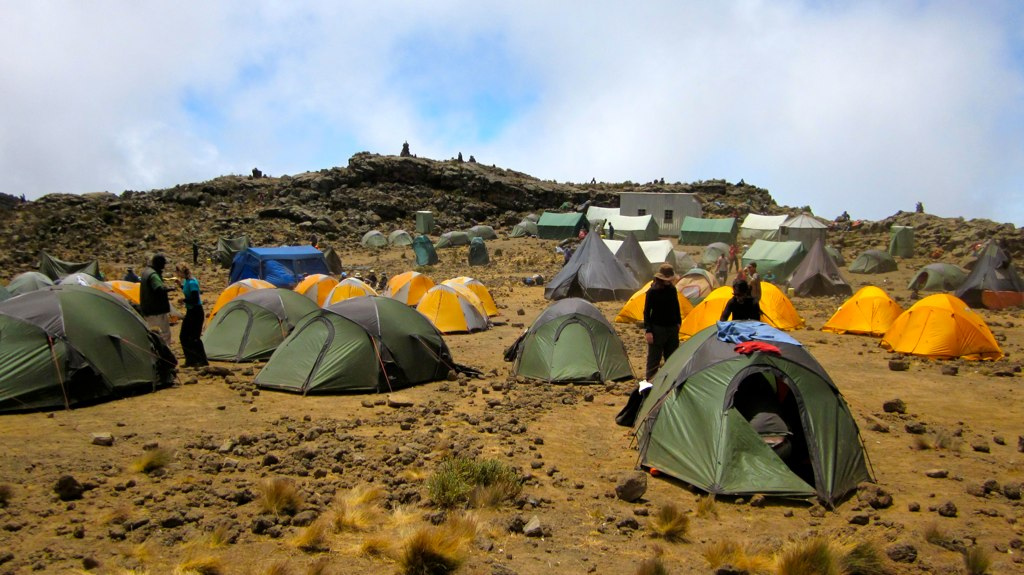 Rongai  route 7 day Kilimanjaro