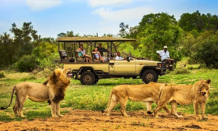 Tanzania safaris